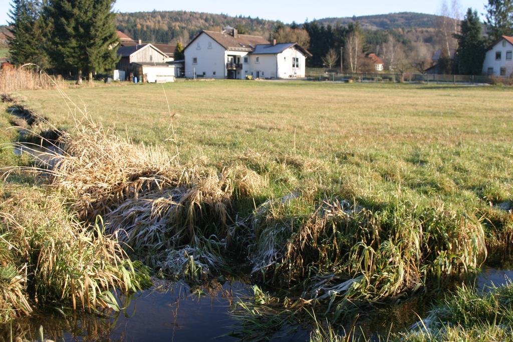 Апартаменты Haus Am Treffenbach Вальдмюнхен Экстерьер фото